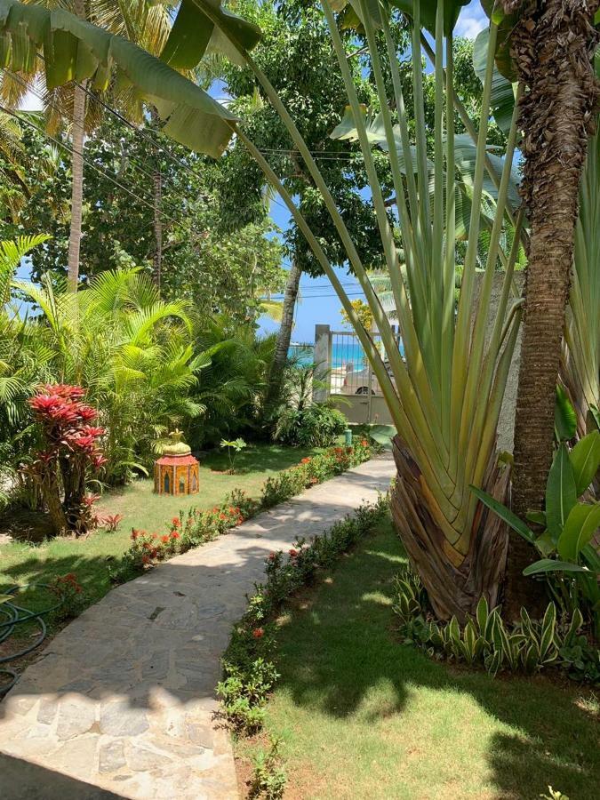 Beach Hotel Casa Nina Лас-Терренас Екстер'єр фото